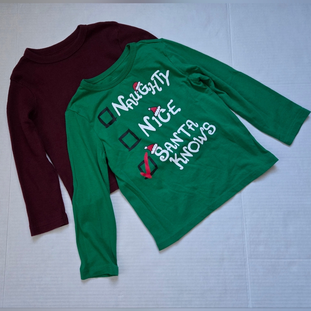 Toddler Long Sleeve Tees Bundle - 3T